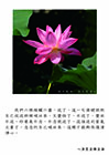 我們六根接觸六塵，迷了