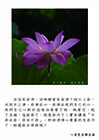 不染而染，染而不染