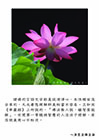 諸佛的言語文字都是從清淨心、本性裡面流出來的