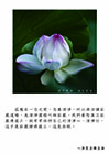 佛法講莊嚴道場，是清淨肅穆叫做莊嚴。