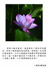 清淨心能生萬法，這是根本！