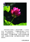 阿彌陀佛派遣二十五位菩薩，日夜保護這個人