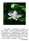 功德是修清淨心，這是功德。