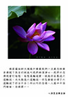 八萬四千法門裡面，念佛第一。