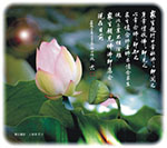 眾生起行 口常稱佛 佛即聞之