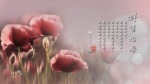 群書治要三六○ 桌布